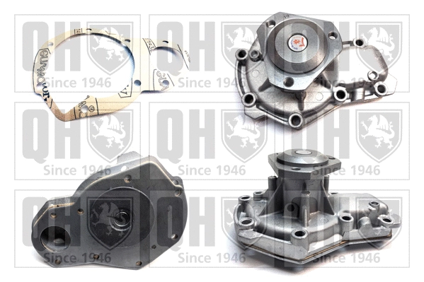 Water Pump, engine cooling (QCP3186)