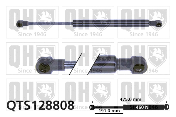 Gas Spring, boot/cargo area (QTS128808)
