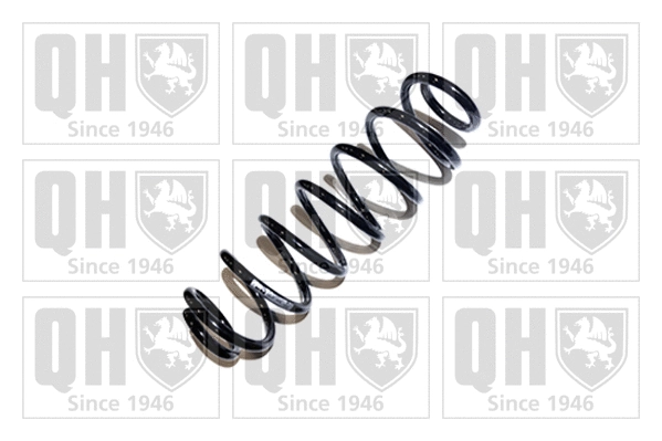 Suspension Spring (QCS7446)