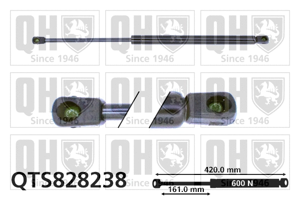Gas Spring, boot/cargo area (QTS828238)