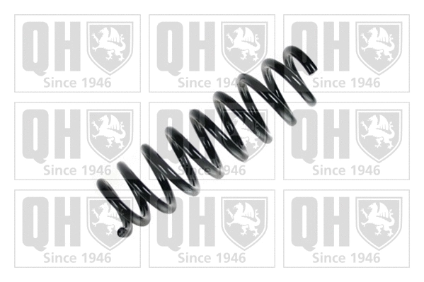 Suspension Spring (QCS7167)