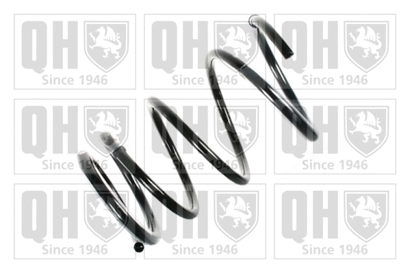 Suspension Spring (QCS5384)