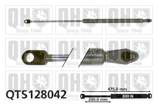 Gas Spring, boot/cargo area (QTS128042)