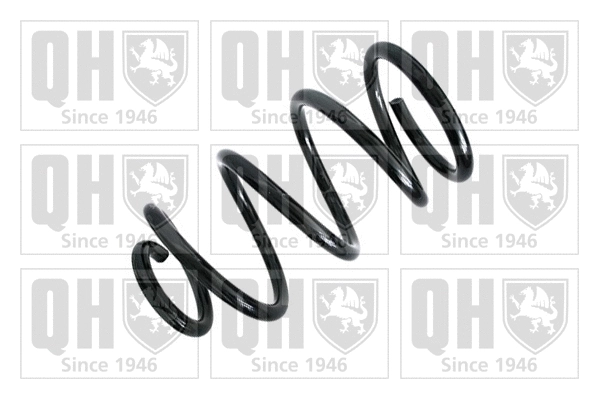 Suspension Spring (QCS5249)