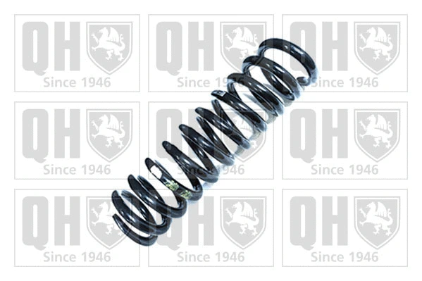 Suspension Spring (QCS5294)