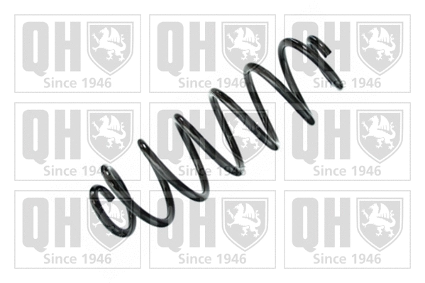 Suspension Spring (QCS6235)