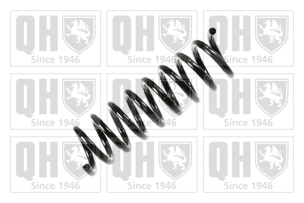 Suspension Spring (QCS7828)