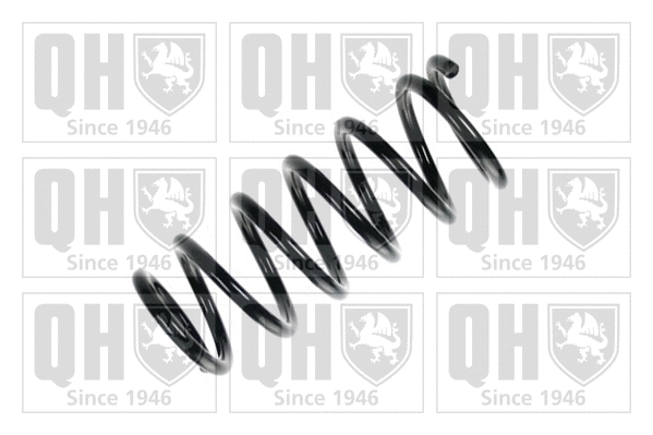 Suspension Spring (QCS6938)