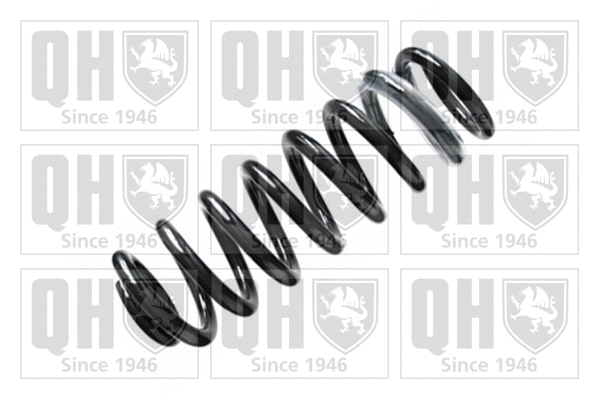 Suspension Spring (QCS7009)