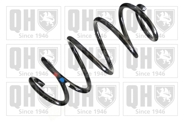 Suspension Spring (QCS5507)