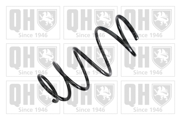 Suspension Spring (QCS6834)