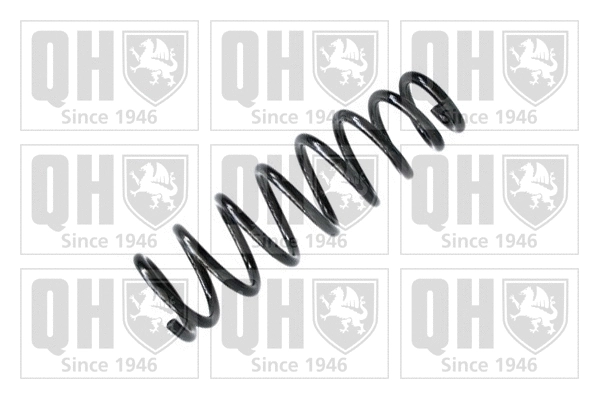 Suspension Spring (QCS7381)