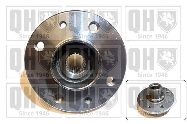Wheel Hub (QWH131)
