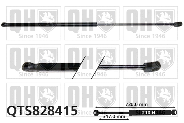 Gas Spring, bonnet (QTS828415)