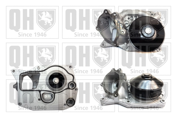 Water Pump, engine cooling (QCP3913)