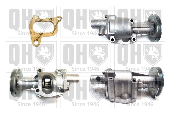 Water Pump, engine cooling (QCP2986)