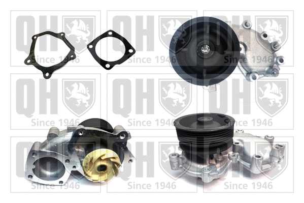 Water Pump, engine cooling (QCP3407)