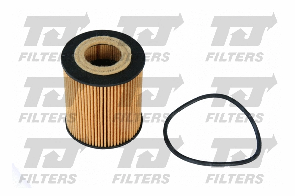 Oil Filter (QFL0208)