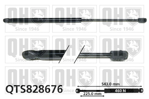 Gas Spring, boot/cargo area (QTS828676)