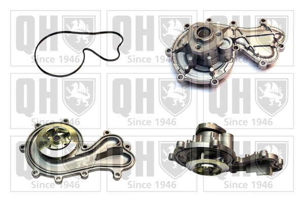 Water Pump, engine cooling (QCP3839)