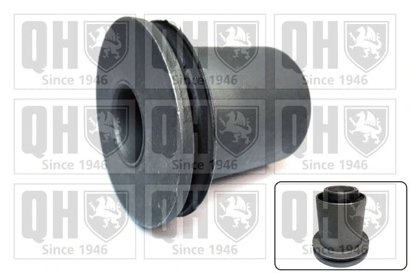 Mounting, control/trailing arm (EMS8197)