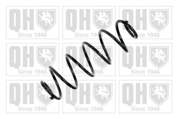 Suspension Spring (QCS8072)