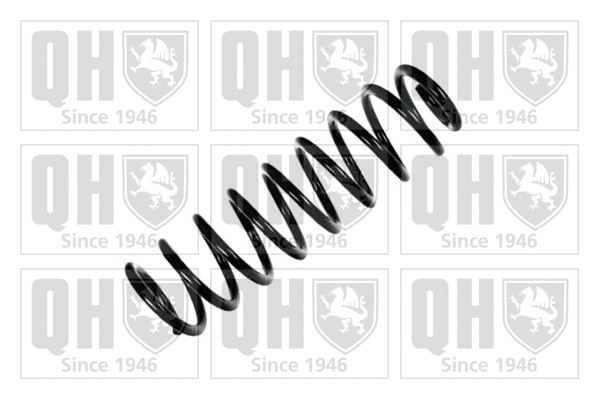 Suspension Spring (QCS7509)