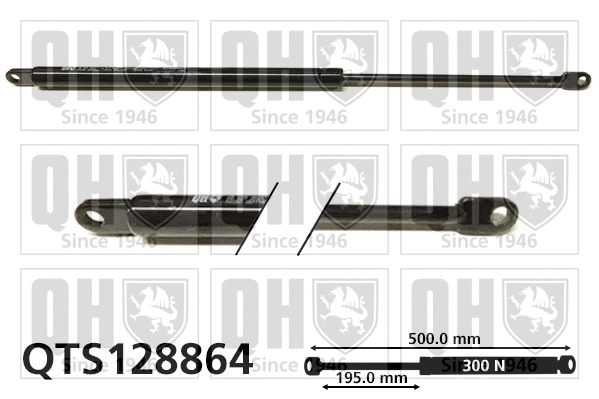 Gas Spring, boot/cargo area (QTS128864)