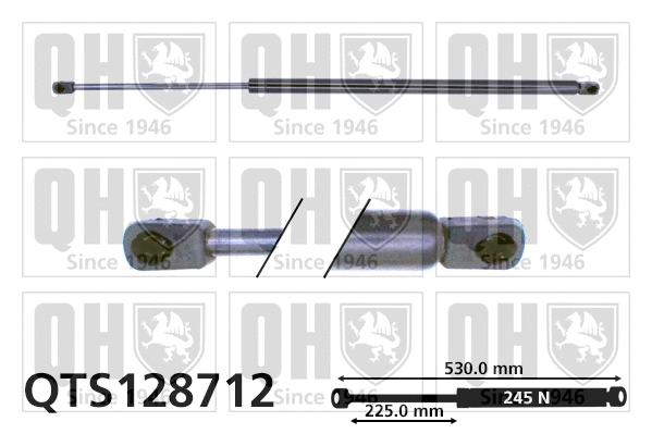 Gas Spring, bonnet (QTS128712)