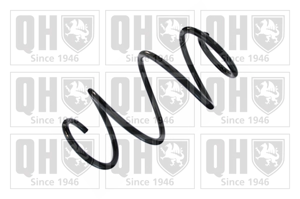 Suspension Spring (QCS8460)