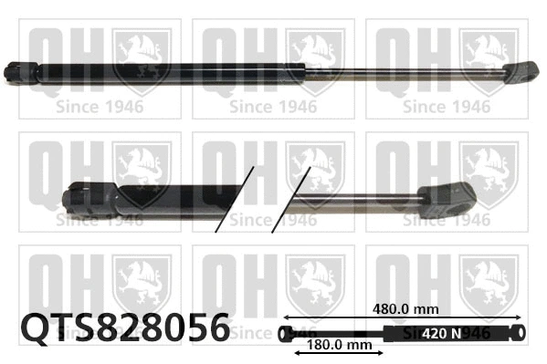 Gas Spring, boot/cargo area (QTS828056)