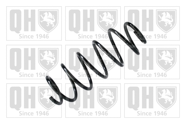 Suspension Spring (QCS7003)