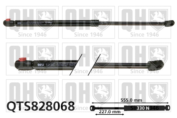 Gas Spring, bonnet (QTS828068)
