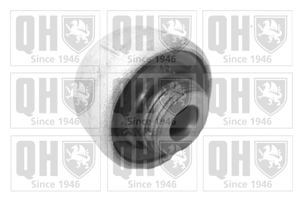 Mounting, control/trailing arm (EMS8350)