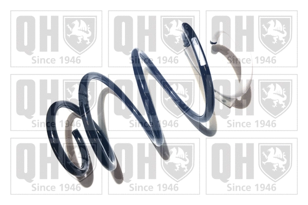 Suspension Spring (QCS6902)