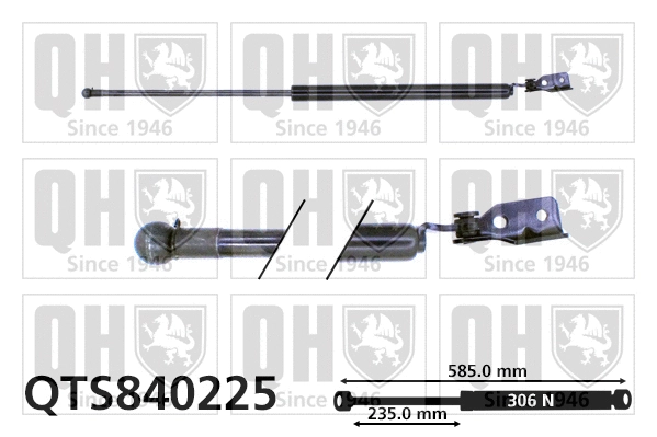 Gas Spring, boot/cargo area (QTS840225)