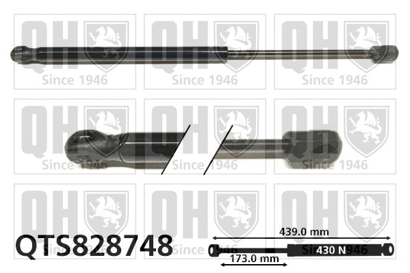 Gas Spring, bonnet (QTS828748)