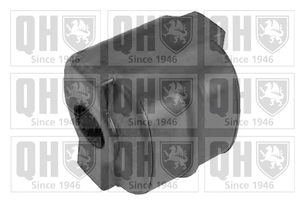 Mounting, control/trailing arm (EMS8473)