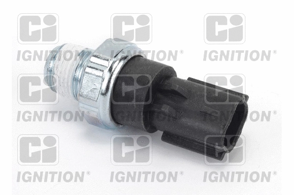 Oil Pressure Switch (XOPS312)