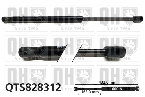 Gas Spring, boot/cargo area (QTS828312)
