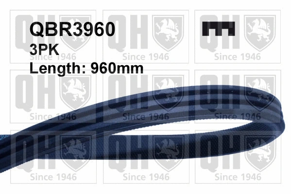 V-Ribbed Belt (QBR3960)
