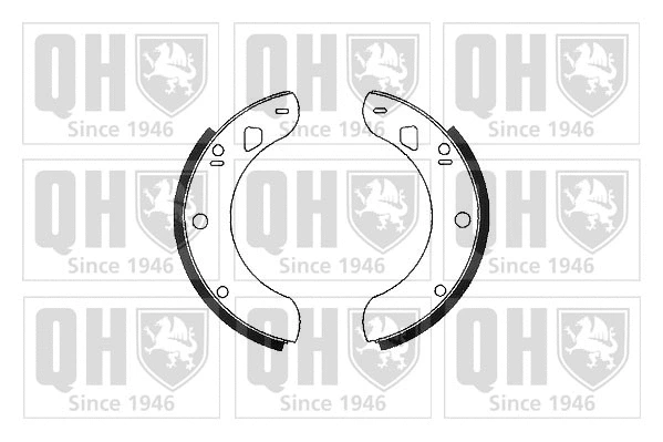 Brake Shoe Set (BS726)