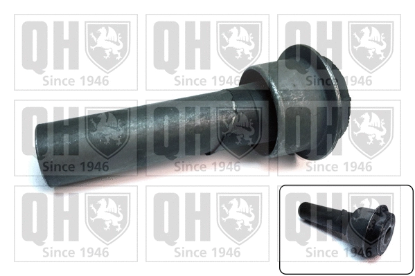 Bushing, axle beam (EMS8638)