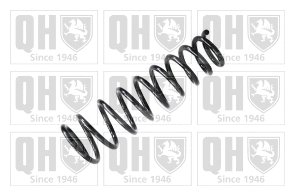 Suspension Spring (QCS7481)