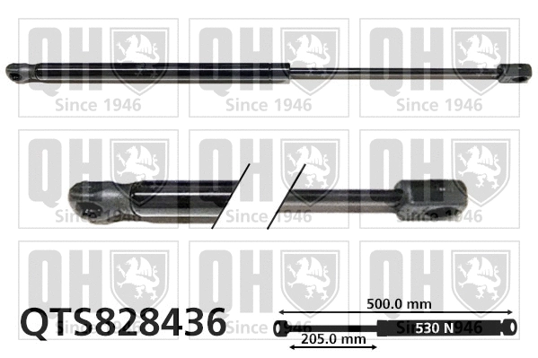 Gas Spring, boot/cargo area (QTS828436)