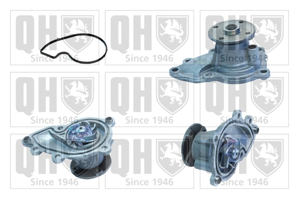 Water Pump, engine cooling (QCP3787)
