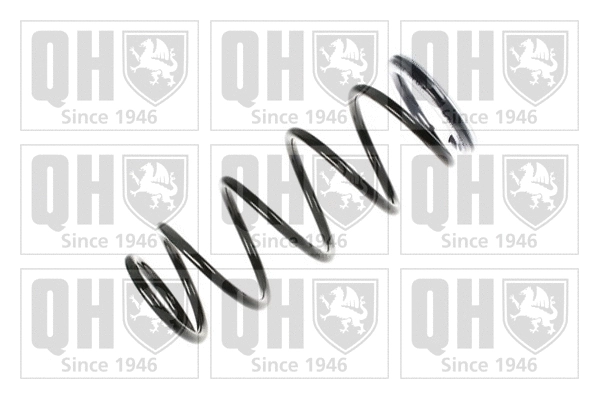 Suspension Spring (QCS7072)