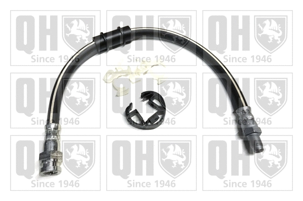 Brake Hose (BFH5231)