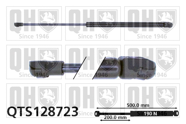 Gas Spring, bonnet (QTS128723)