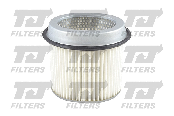Air Filter (QFA0262)